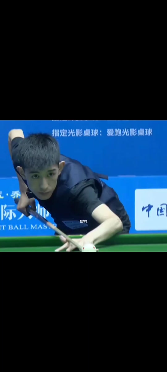 他们的归期 他们的归期