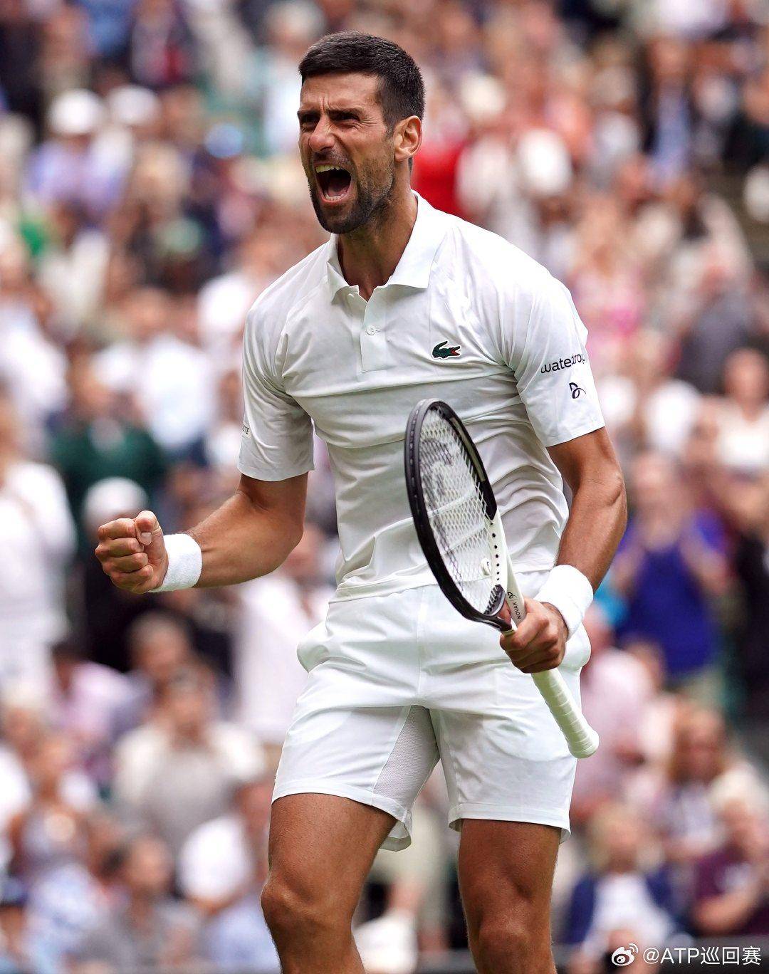 视野先手 视野先手