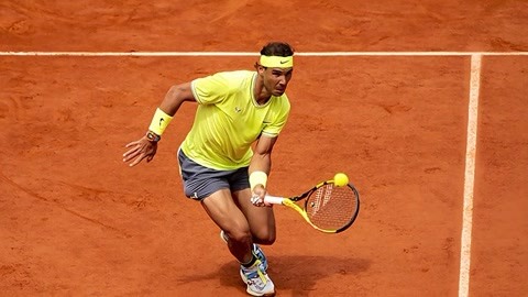 对明显黄牛 对明显黄牛